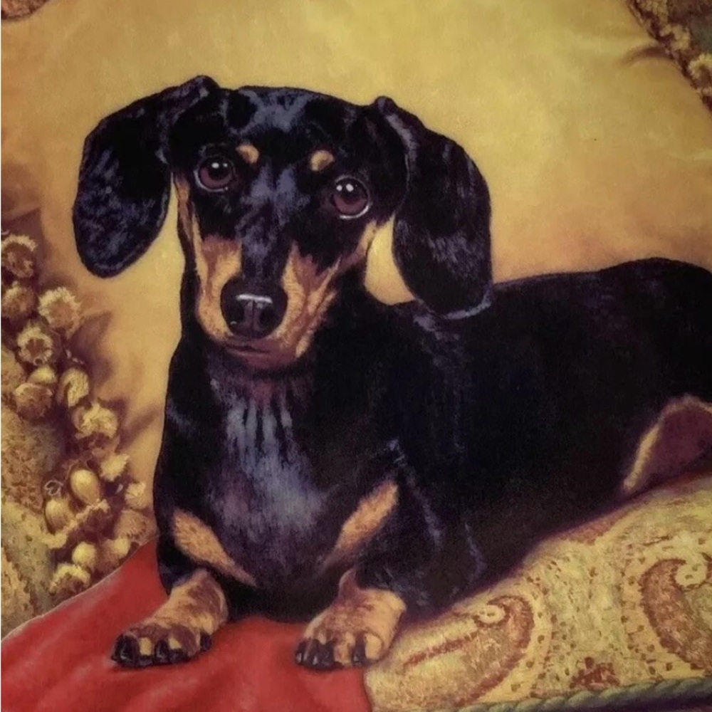 2 Retired Danbury Mint Limited Ed Porcelain Plates entitled Dachshunds.